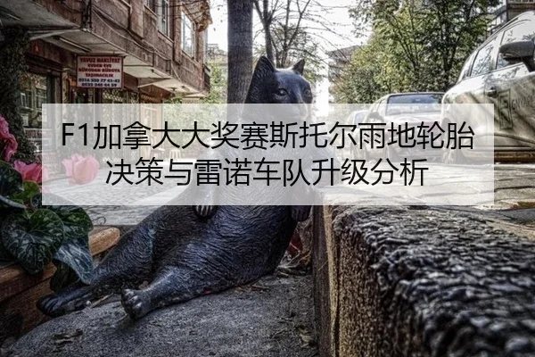 F1加拿大大奖赛斯托尔雨地轮胎决策与雷诺车队升级分析