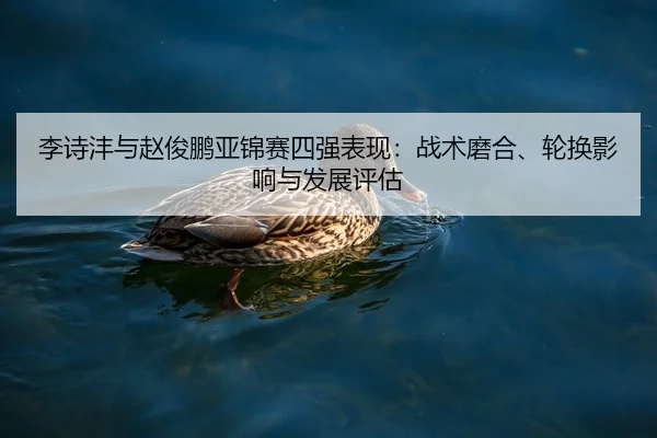李诗沣与赵俊鹏亚锦赛四强表现：战术磨合、轮换影响与发展评估